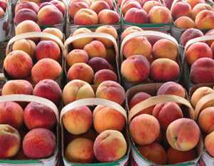 Surfing On The Local Food Wave