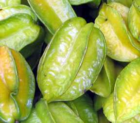 Pros and Cons of Growing Tropical Fruit in Florida