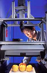 High-Tech Approach Uses Lights, Action, And Camera To Scrutinize Fresh Produce