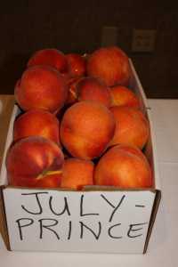 A Peachy Day