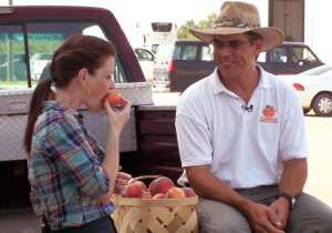 Stone Fruit: Peaches In The Spotlight