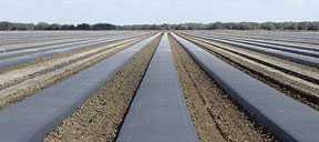Florida Agriculture Commissioner Announces Environmental Leadership Awards