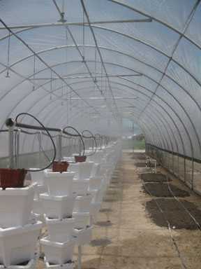 Helping Hand For Haiti Involves High Tunnels
