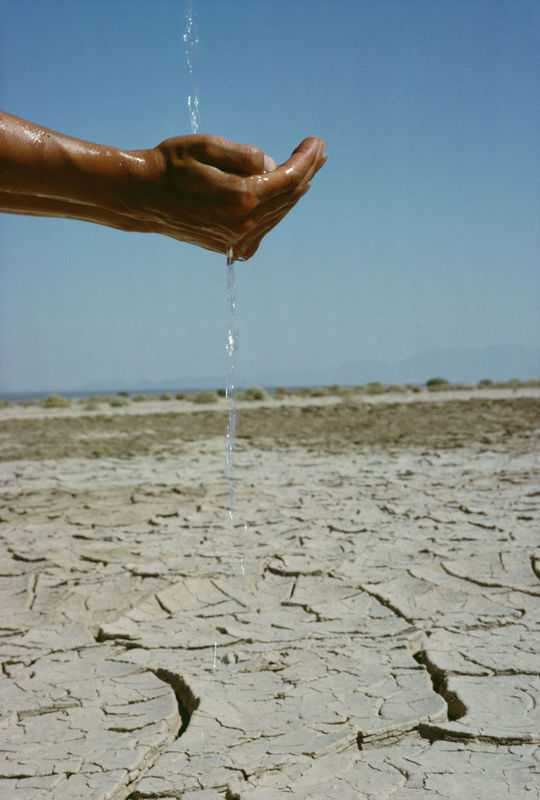 Drought Forcing California Farmers To Leave As Much As 800,000 Acres Unplanted