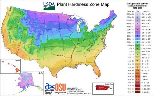 USDA Maps Out New Plant Hardiness Zones