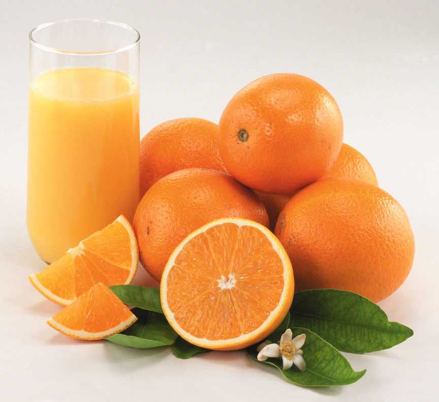 Tropicana Recognizes Top Citrus Growers