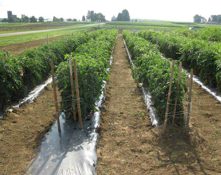 Modern Soil Tests  Give You More Control
