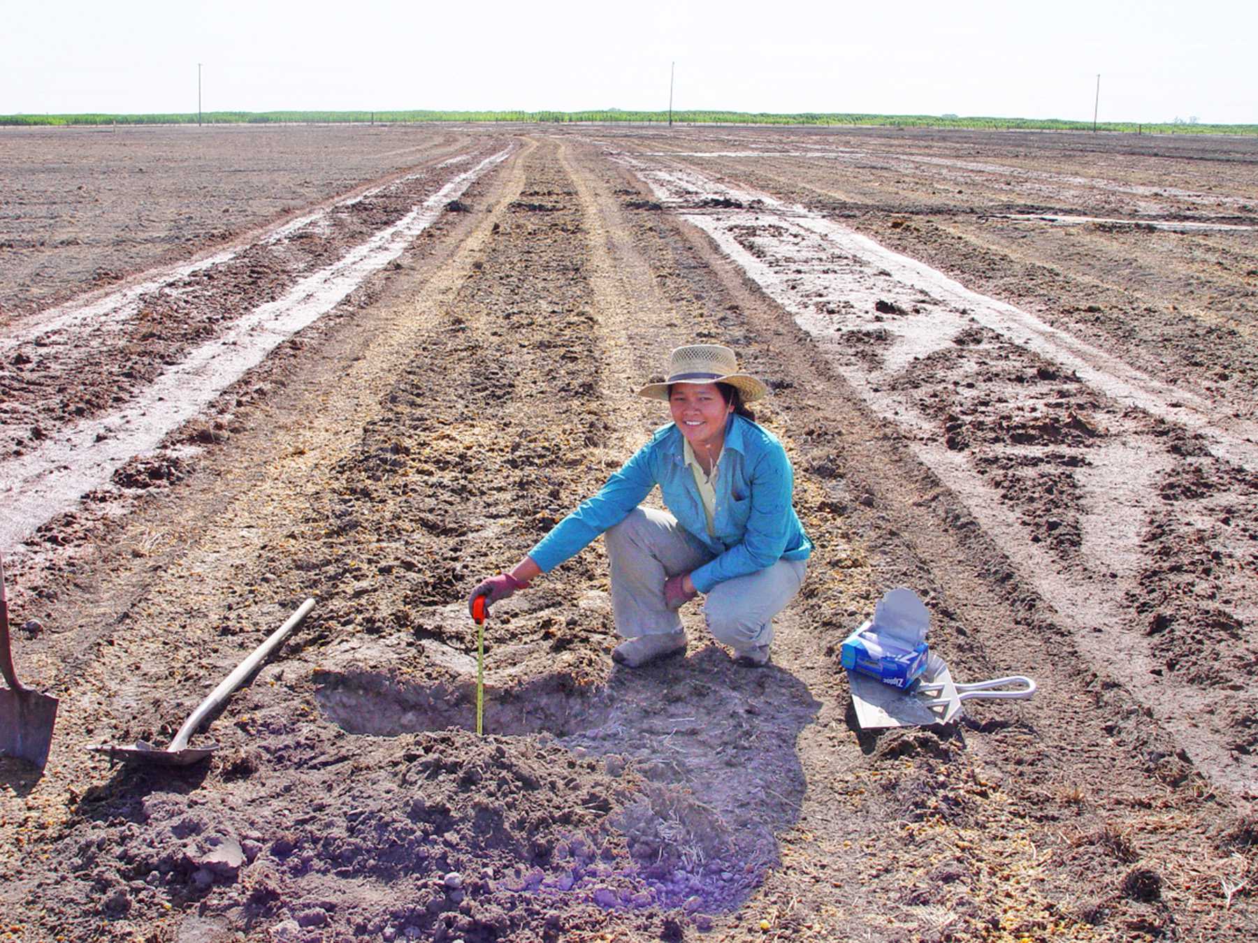Improving Soil With By-Products