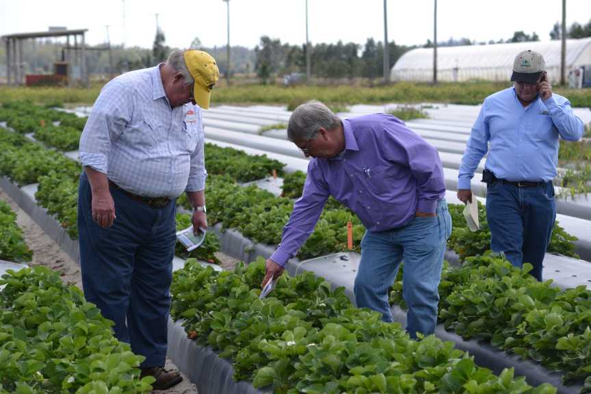 USDA Takes Steps To Help Farmers Manage Risk