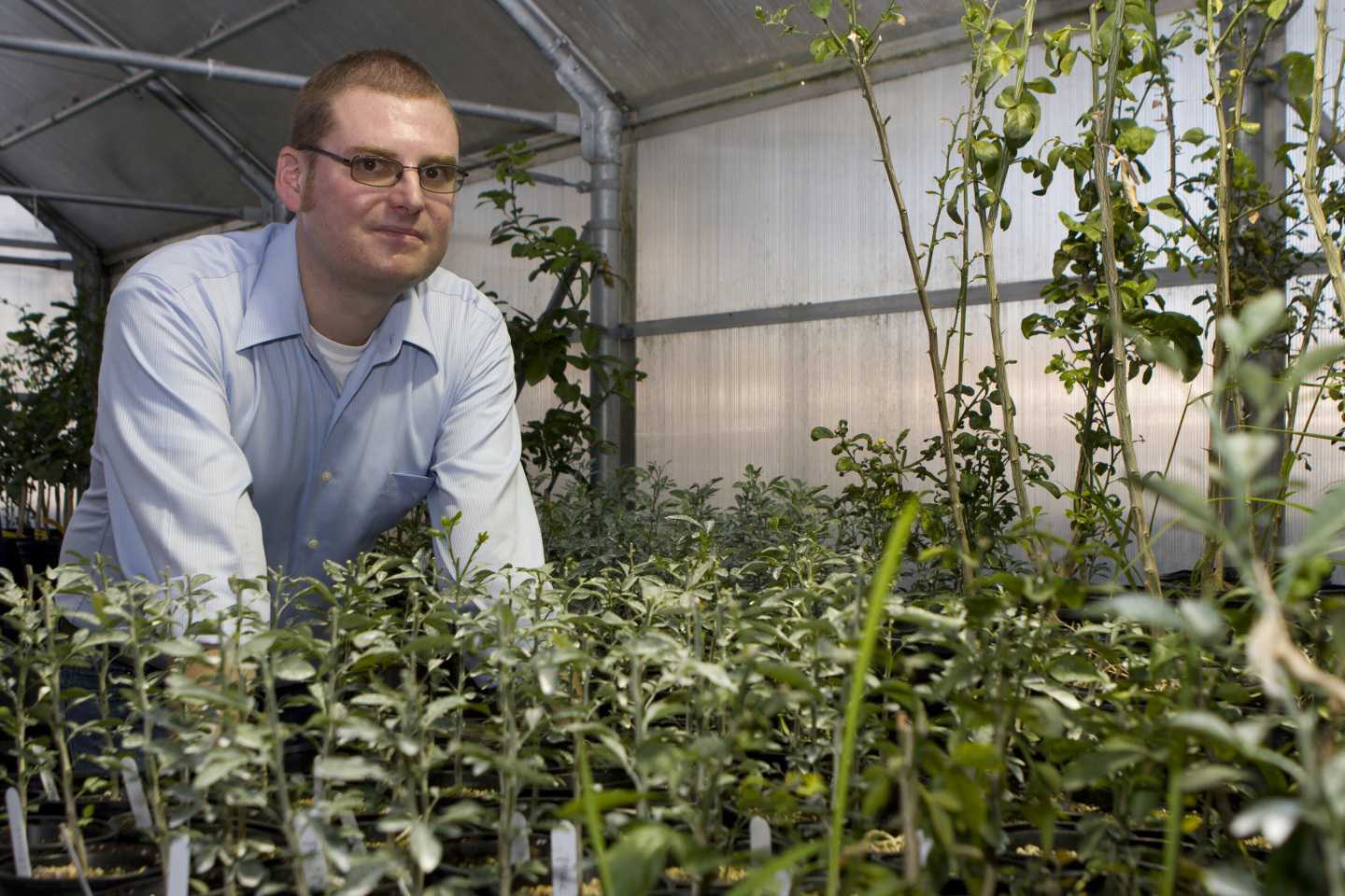 Stay A Step Ahead Of Psyllids