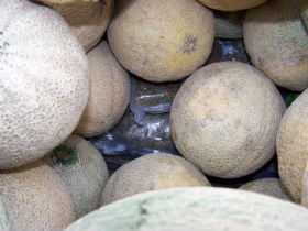 Message To Cantaloupe Growers: Minimize Your Food Safety Risks