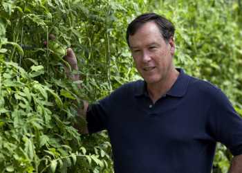 Researchers Unlock Secret Recipe For Great Tasting Tomatoes
