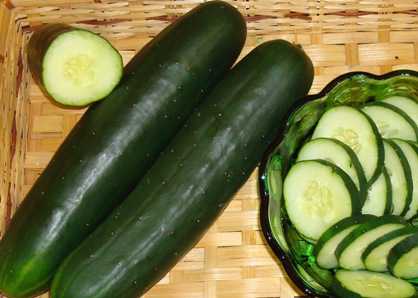 New Cucumber, Watermelon, Corn, and Pumpkin Varieties