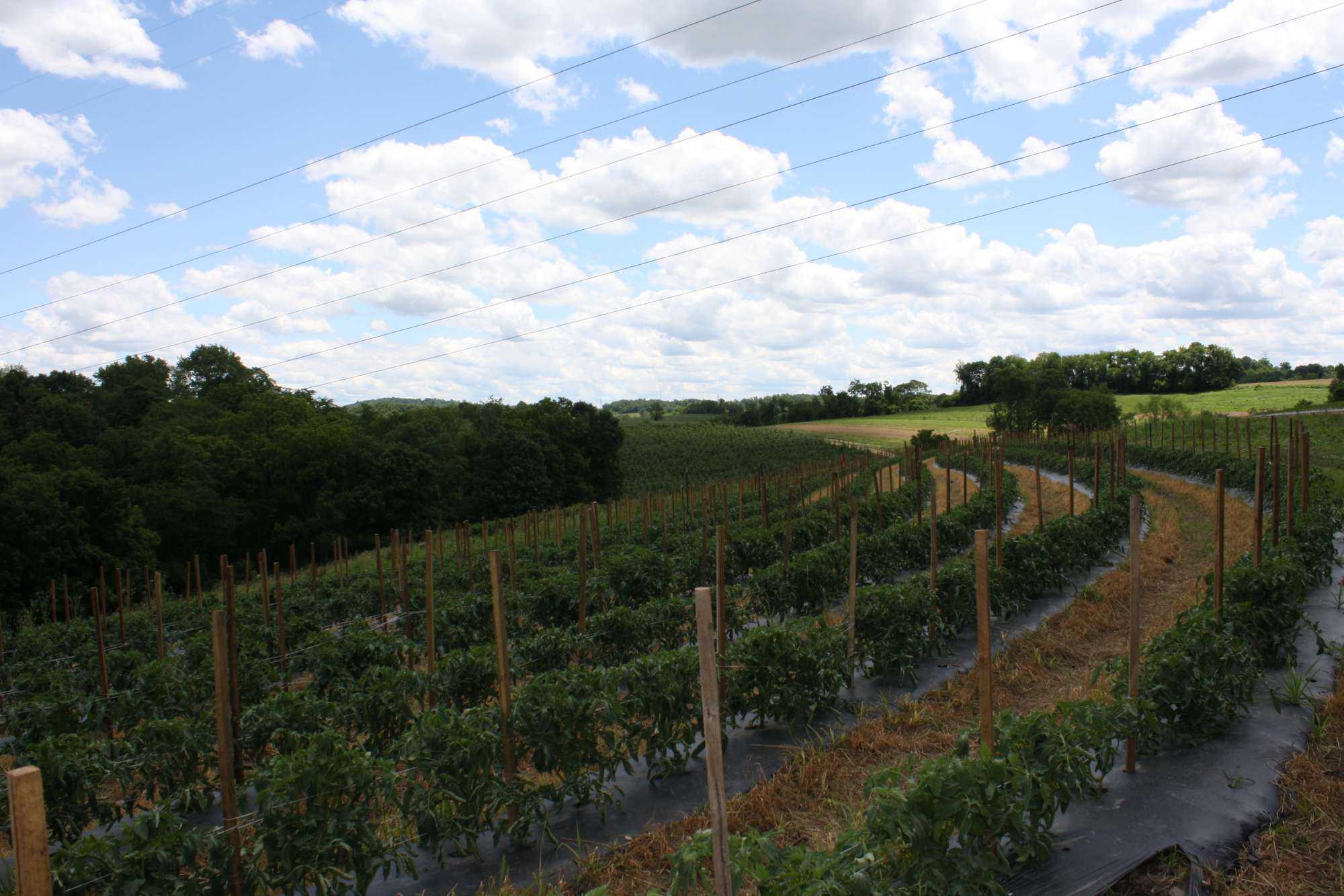 Resources For Knowing Your Soil