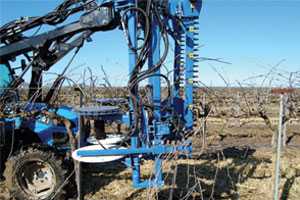 Mechanized Winegrape Pruning Pays