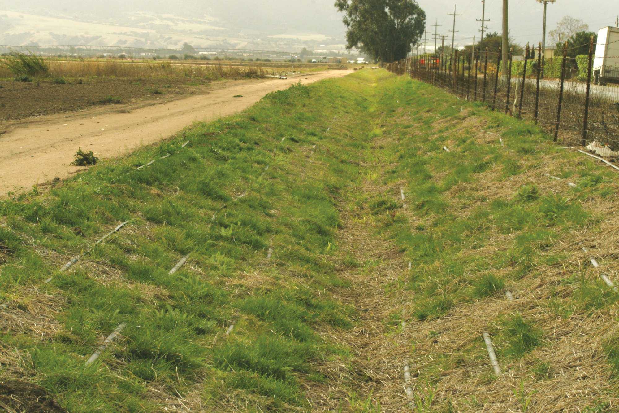 Creative Solutions to Improve Water Quality
