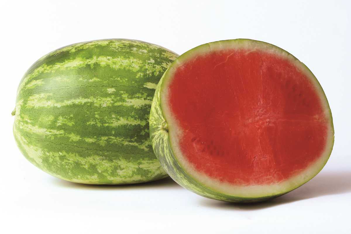 Watermelons, Carrots, And Onions From Nunhems