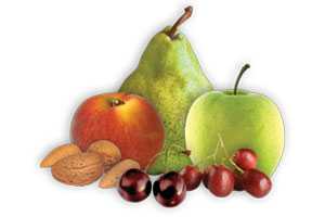 2012 Top Fruit Growers Report