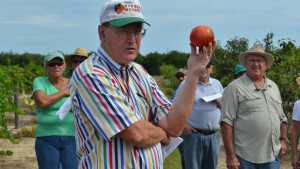 Florida Growers Gather For Pomegranate Pointers