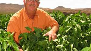 2012 Grower Achievement Award Winner: Steven Lyles Farms