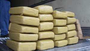 Florida Ag Bust Finds No Produce, Plenty Of Pot