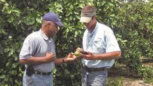 GenNext Growers Advisory Board Members Give Their Take On 2016