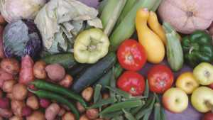 USDA Funds Available To Growers To Develop And Expand Markets