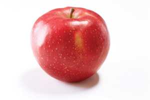 Southeastern Apple Growers Meeting Set For January