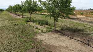 New Herbicide From Syngenta Receives EPA Registration
