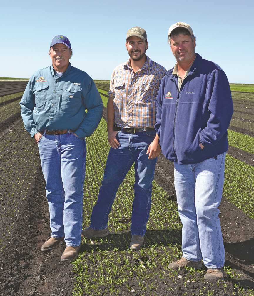 Principles Of Success Propels Grower’s Management Inc.