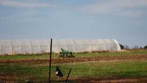 Opinion: Reap The Benefits Of High Tunnels