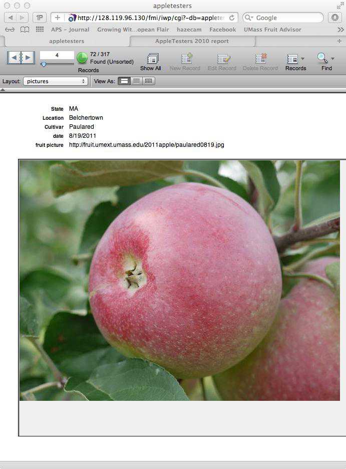 New Website Aids In Variety Selection