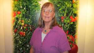 Pest Scouting Pointers For Greenhouse Vegetables