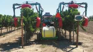 Get Clued Into Controlling Climbing Cutworms