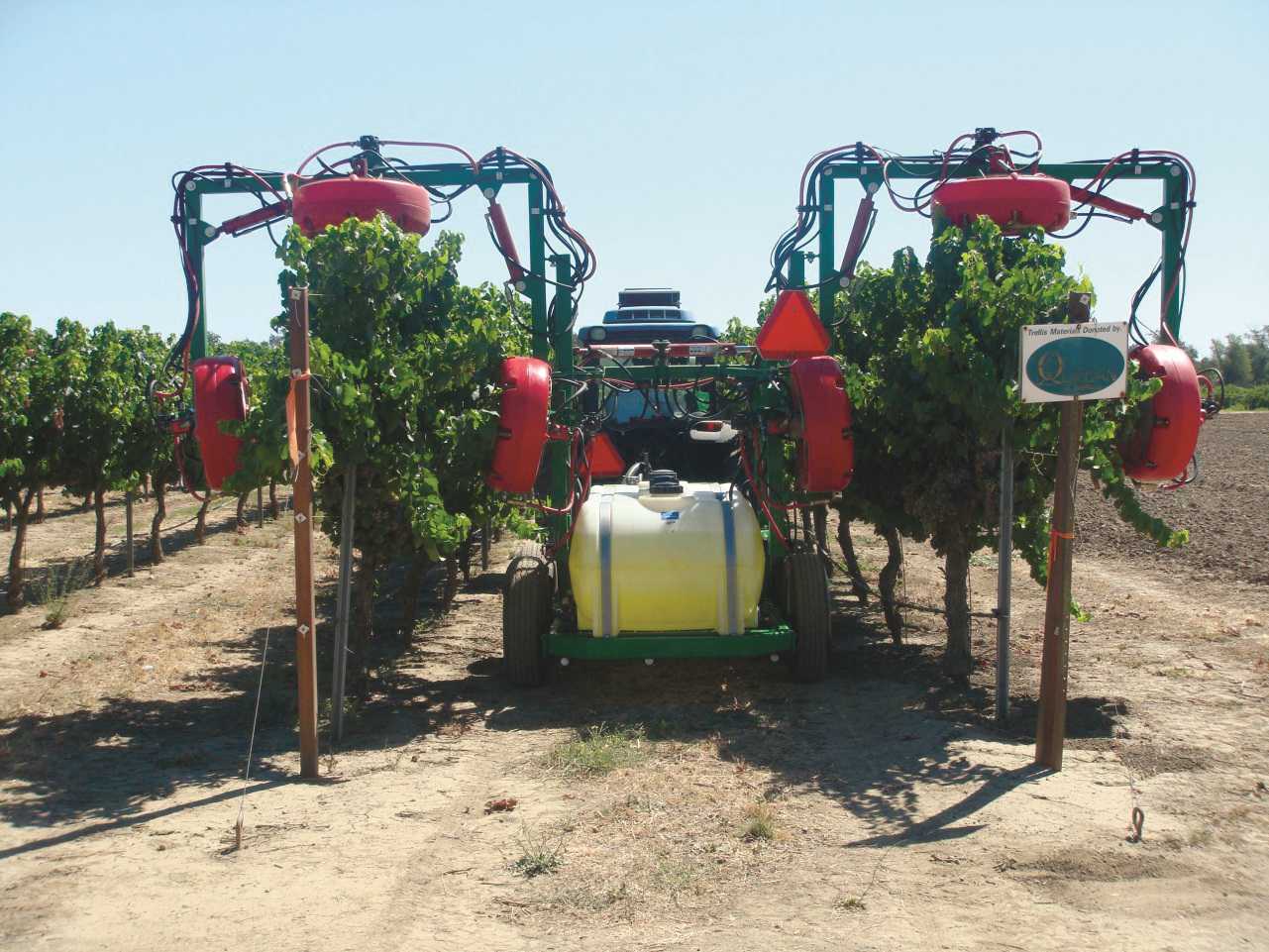 Get Clued Into Controlling Climbing Cutworms