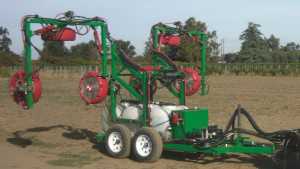 Ways To Save On Grape Spraying