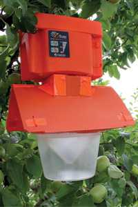 New Insect Trapping Device