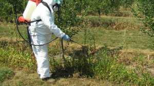 EPA Announces Children Under 18 Can No Longer Handle Pesticides
