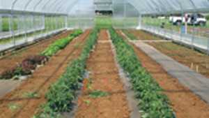 High Tunnels Vary Greatly