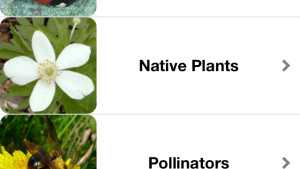 Need Help Finding Natural Enemies? There’s An App For That