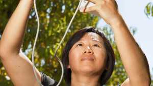 Saving Water In Peach Orchards