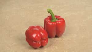 Choose The Right Greenhouse Vegetable Varieties