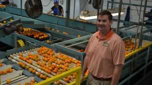 Pioneering Florida Citrus Family To Sell Off Business