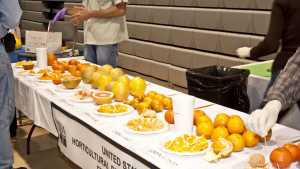 Citrus Scientists Target HLB-Tolerant Trees: 2013 Florida Citrus Show Extended Content Coverage