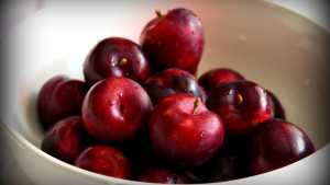 New Cherry/Plum Hybrid Hits Europe