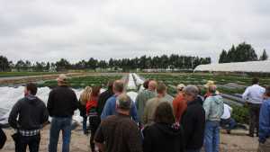 Takeaways From The 2nd Vegetable And Small Fruit Protected Ag Field Day