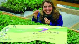 Create Stress-Free Plants