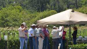 Syngenta Shows Off New Vegetable Varieties