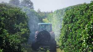 California Growers to Lose Controversial Pesticide