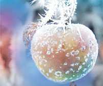 Climate Change: The New Normal In Fruit Growing